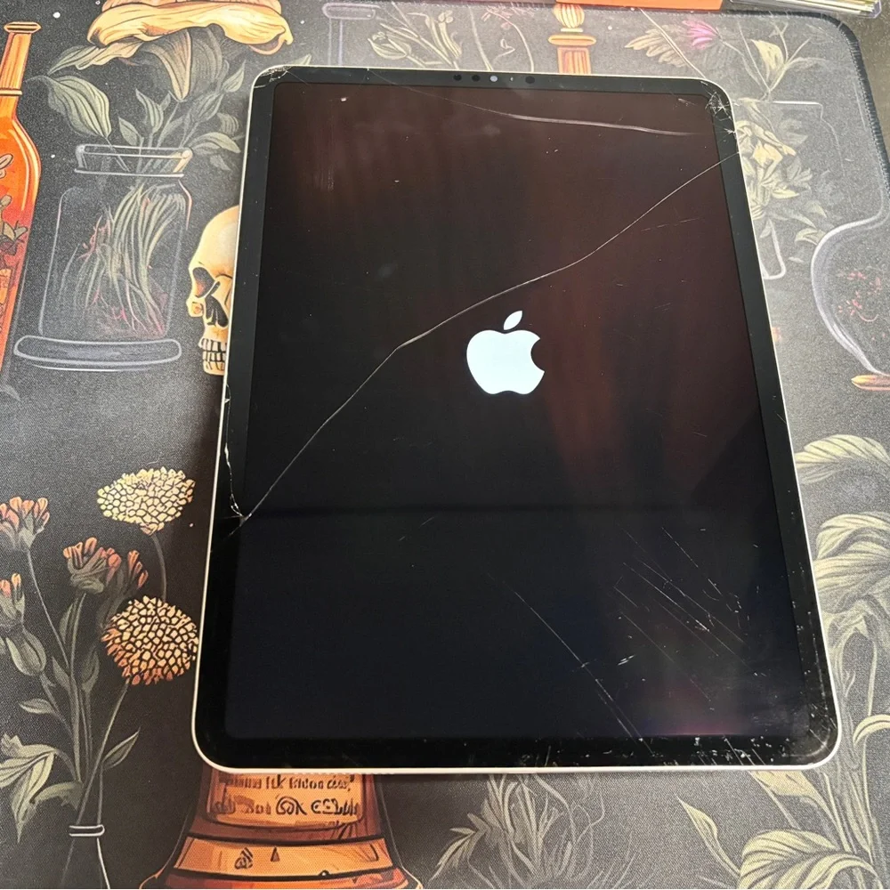 Apple iPad Tablet - Black and Silver